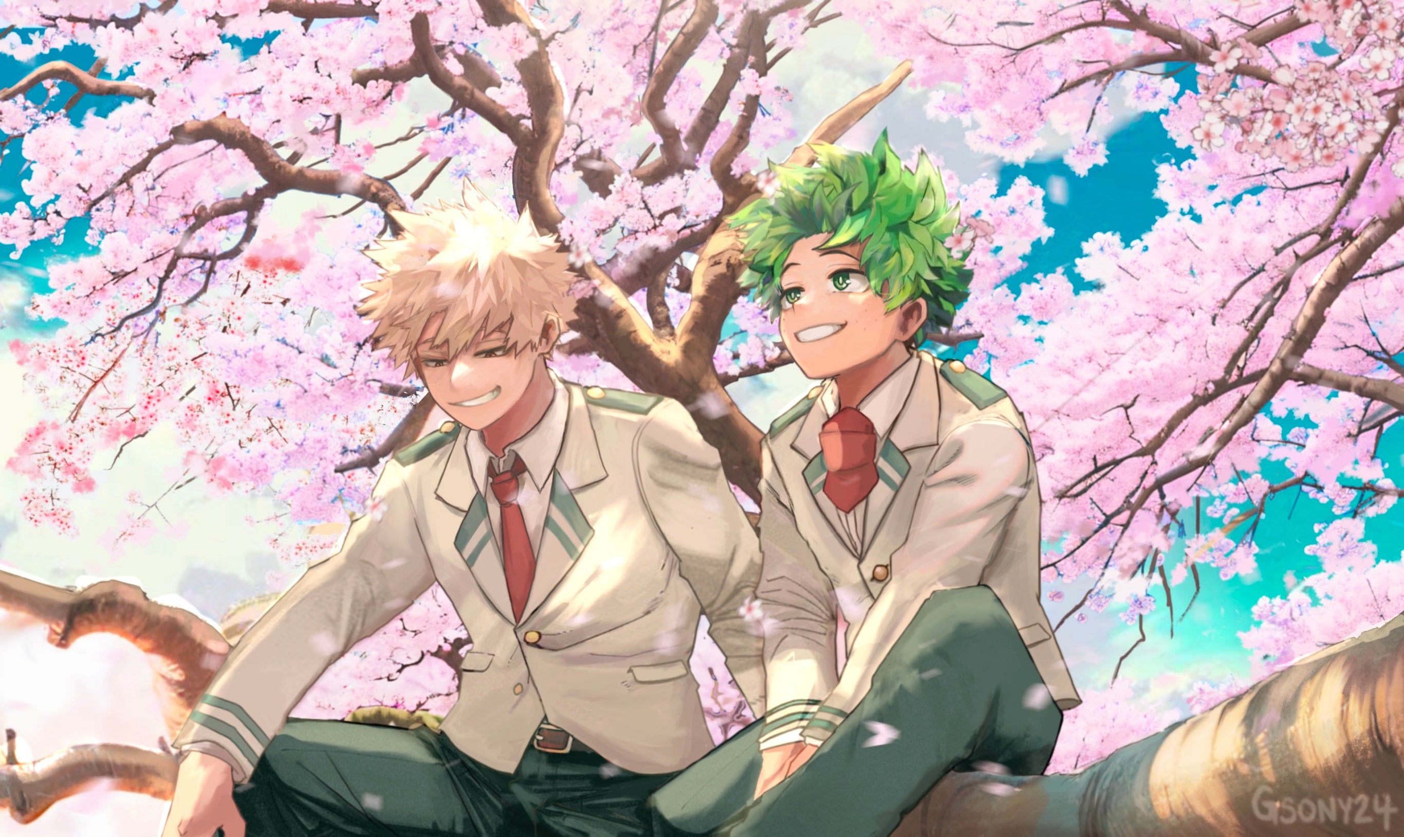 Bakugo and Deku print
